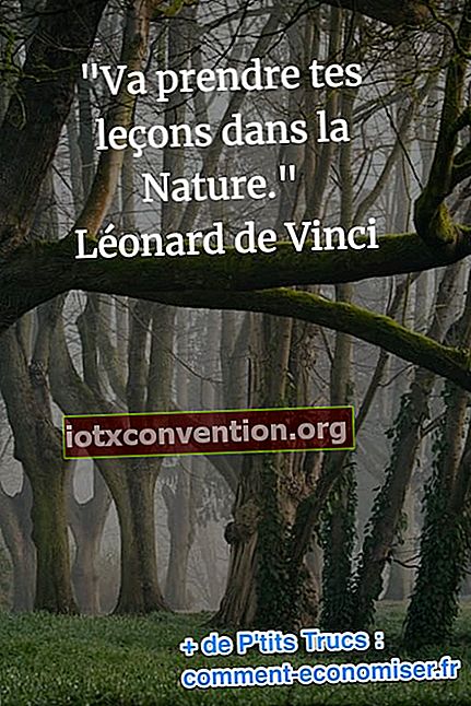 Leonardo da Vinci Zitat über die Natur