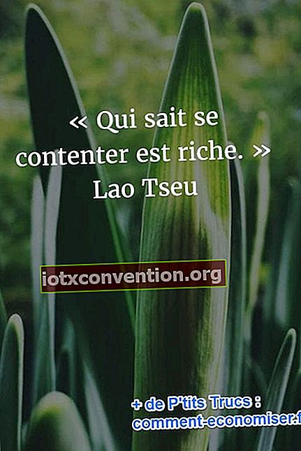 lao tzu rikedom citat