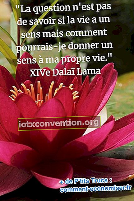 Dalai Lama Zitat über den Sinn des Lebens