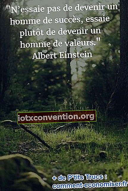 Citazione di Einstein sui valori di un uomo