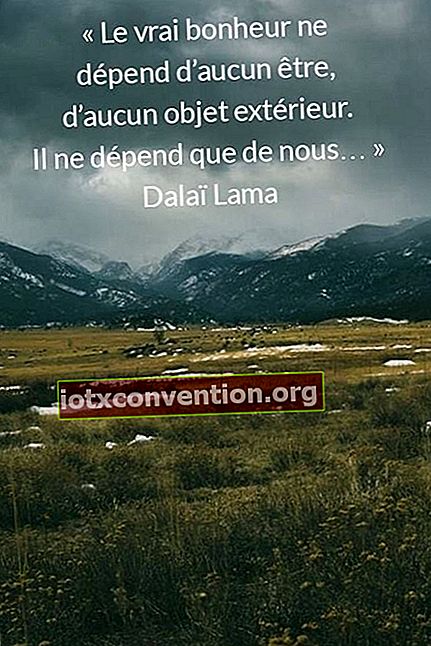 Dalai Lama Glück Zitat