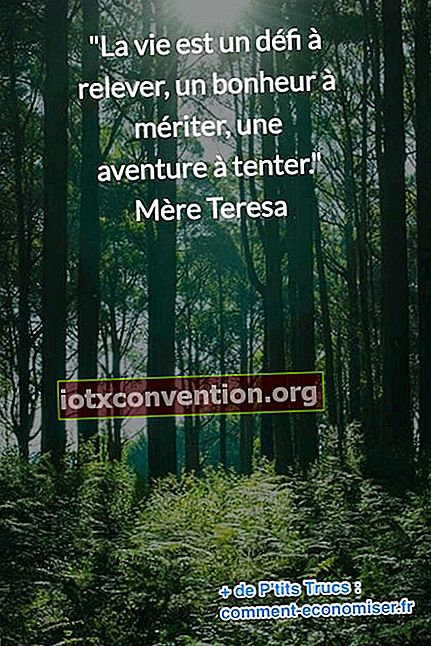 Mutter Teresa Zitat über das Leben