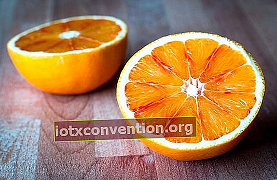 低カロリーのオレンジを食べる