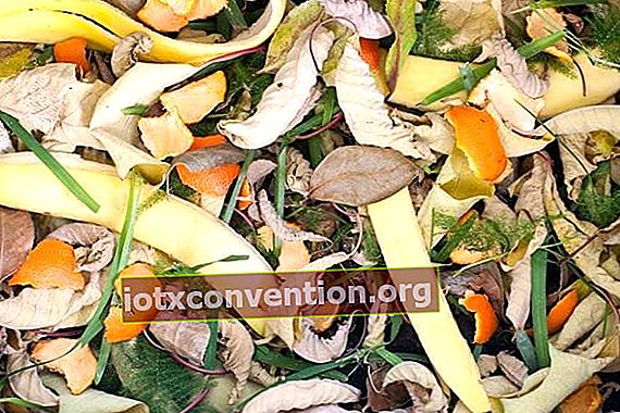 Orangenschalen in den Kompost geben