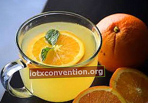 teh herbal dengan irisan jeruk