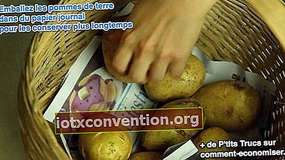 Lagern Sie die Kartoffeln länger mit Zeitung