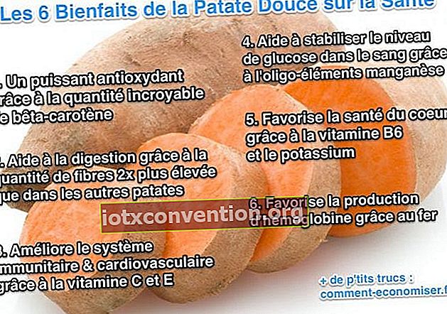 I benefici per la salute della patata dolce
