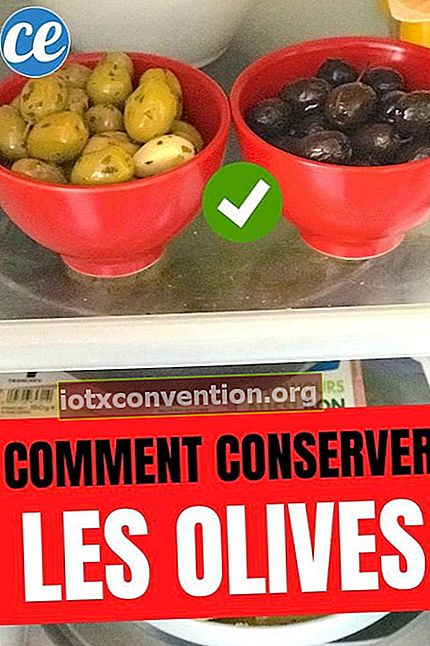 Schwarze und grüne Oliven, die in Schalen im Kühlschrank aufbewahrt werden