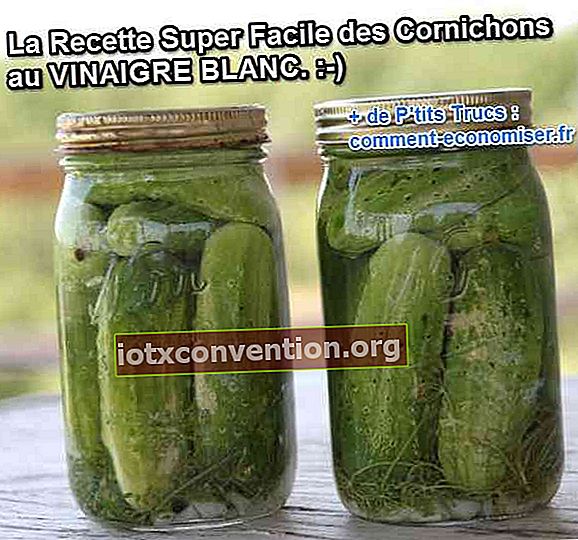 ett enkelt recept för att göra hemlagade pickles