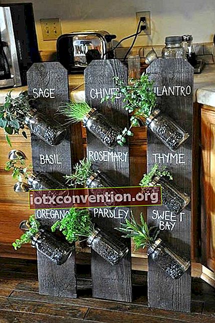Kebun sayur dari tumbuhan aromatik yang dibuat dengan papan palet