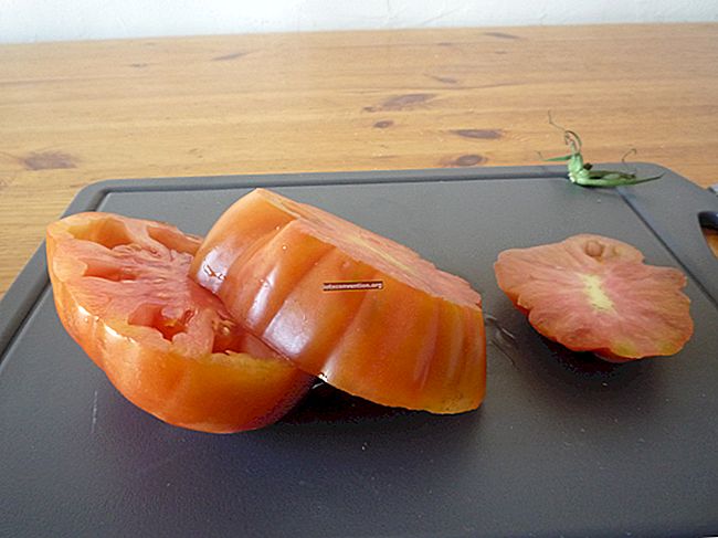 L'unico modo per conservare bene i pomodori.