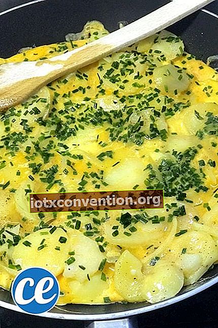 Omelet dengan herba dan kentang