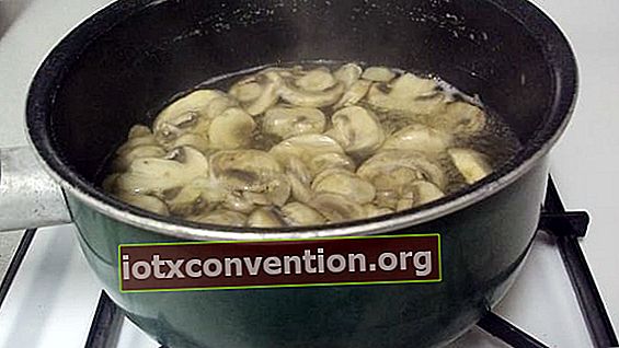 Verwenden Sie das kochende Wasser aus den Pilzen, um die Gerichte zu würzen