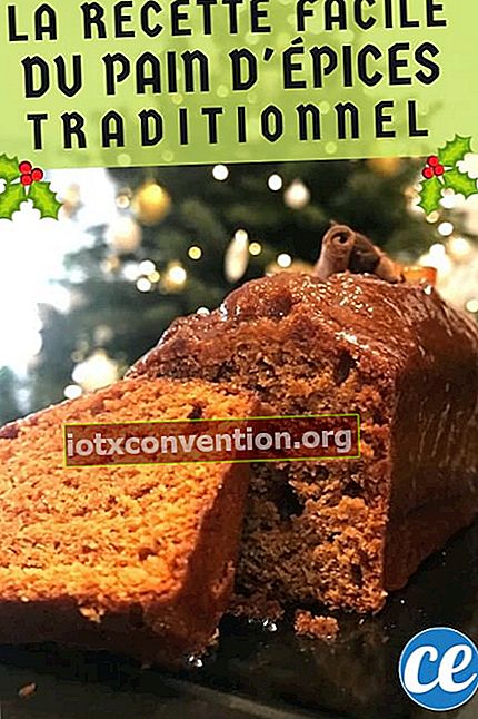 Roti halia buatan sendiri di hadapan pokok Krismas