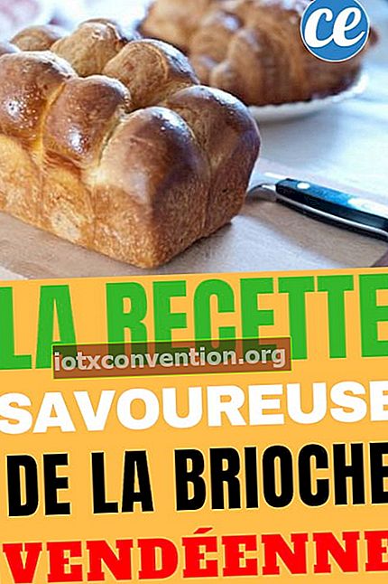 resipi mudah dan murah untuk Vendée brioche