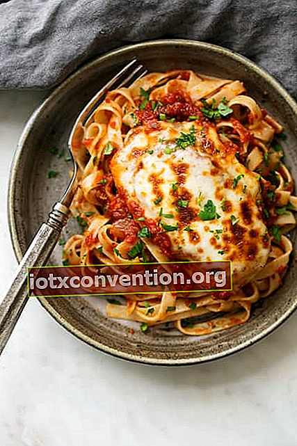 sepiring mozzarella ayam dengan saus tomat disajikan dengan pasta