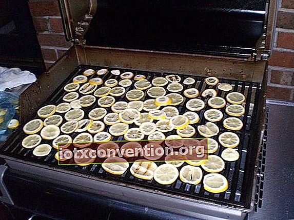grigliare il limone sul barbecue