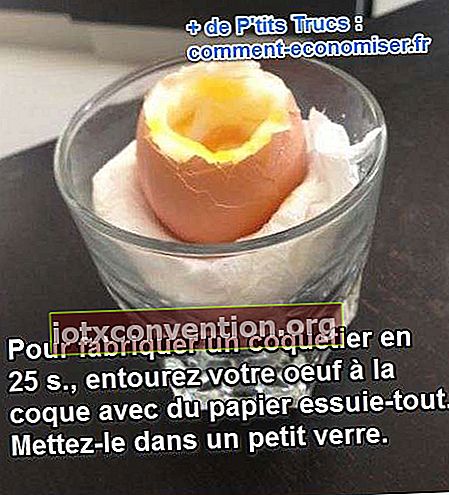 membuat cangkir telur buatan sendiri dengan mudah dan cepat