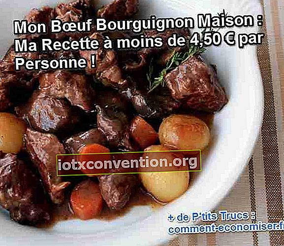 ein Gericht aus Rindfleisch Bourguignon mit Karotten und Kartoffeln