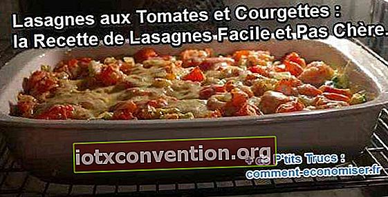 Zucchini-Tomaten-Lasagne