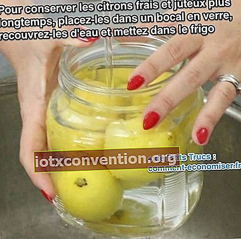 レモンを水瓶に入れて長持ちさせます
