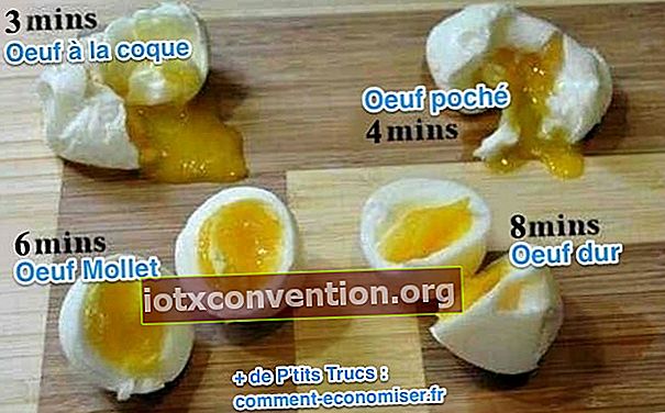 Kochen von hart gekochten Eiern, Kalb, Schale und pochierten Eiern