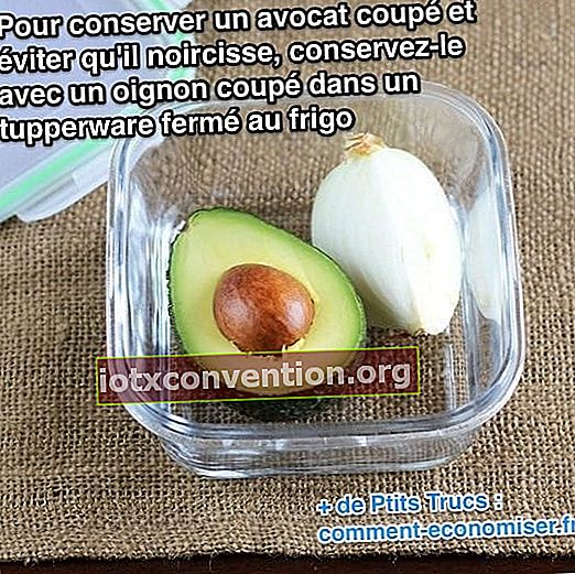 Come conservare più a lungo un avocado tagliato