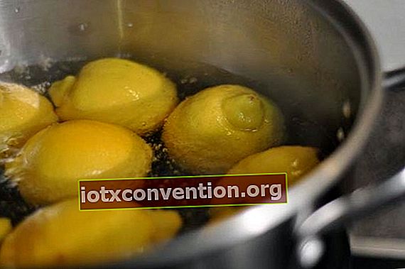  Tauchen Sie eine Zitrone in heißes Wasser, um sie zu erweichen und leichter zu pressen