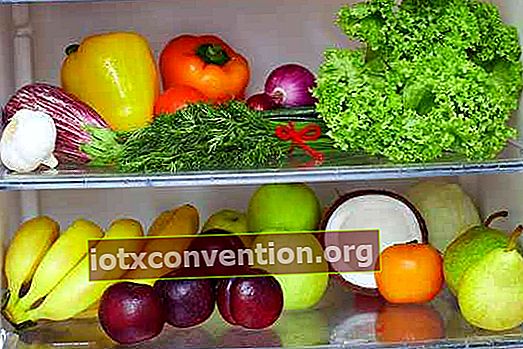 buah-buahan dan sayur-sayuran untuk disimpan di dalam peti sejuk