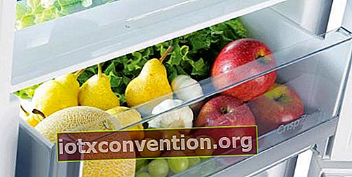 buah dan sayuran untuk disimpan di laci sayuran