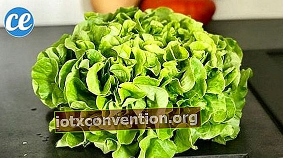 wie man einen grünen Salat richtig wäscht, um Pestizide zu entfernen