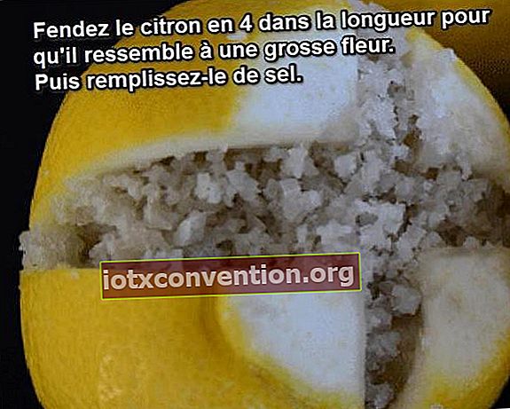 persiapan manisan garam lemon cara membuat
