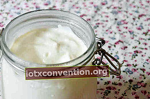 Hausgemachter Joghurt in einem Glas