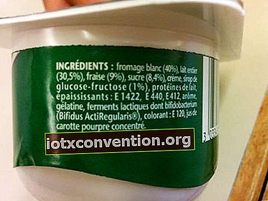 Wussten Sie, dass im Laden gekaufte Joghurts Zusatzstoffe enthalten?