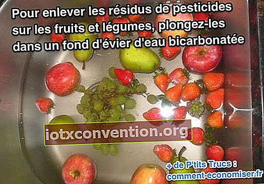 Tauchen Sie Ihr Obst und Gemüse in Bicarbonatwasser, um Pestizide zu entfernen