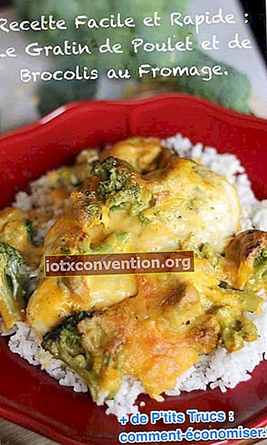 ekonomiskt recept på gratinerad kyckling, broccoli och ost