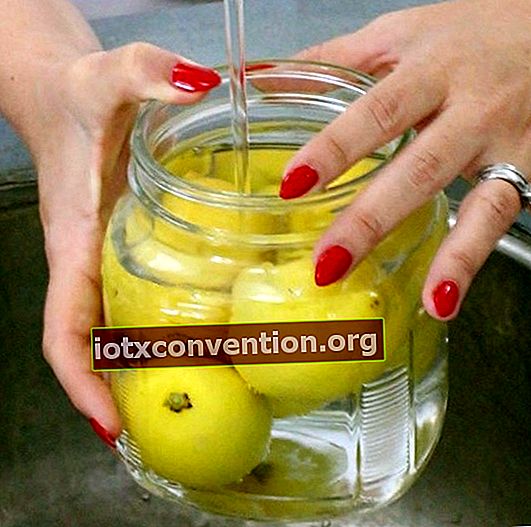 Masukkan lemon ke dalam toples berisi air untuk menyimpannya