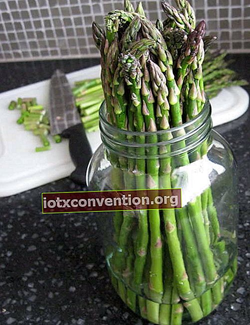 Jaga asparagus segar lebih lama