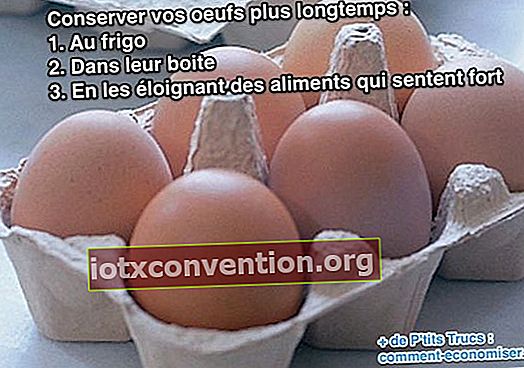 Cara menjaga kesegaran telur lebih lama