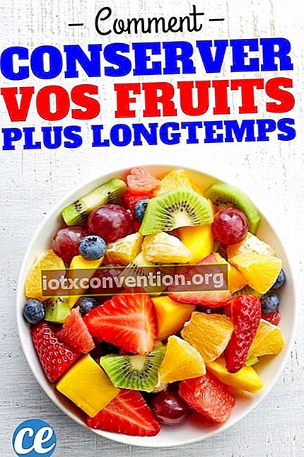 Come conservare più a lungo i tuoi frutti?