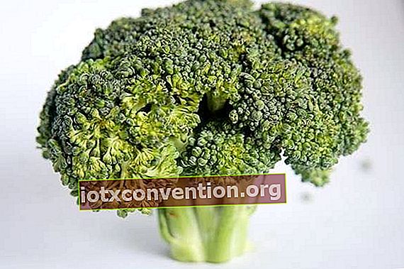 Tahukah anda bahawa makan brokoli dapat membantu menurunkan berat badan?
