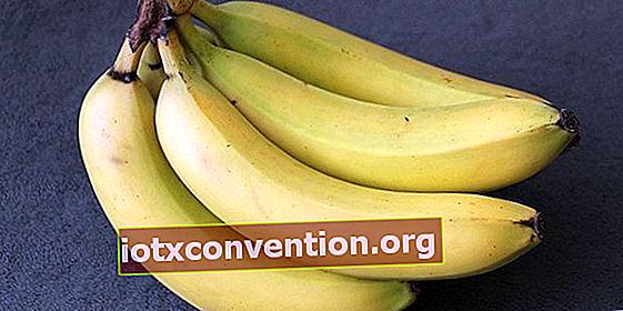Tahukah anda bahawa makan pisang hijau dan pisang boleh membantu menurunkan berat badan?