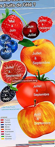 Kalender memetik buah musim panas