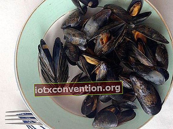 tallrik med klassiska marinière musslor