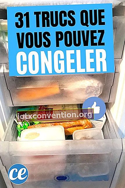 Un congelatore si riempie di cibo congelato per mantenerlo più a lungo