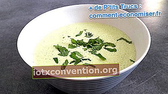 ricetta della zuppa a base di bucce di cetriolo