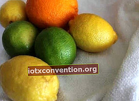 ล้างผลไม้รสเปรี้ยวเพื่อทำน้ำส้มสายชูที่มีกลิ่นหอม