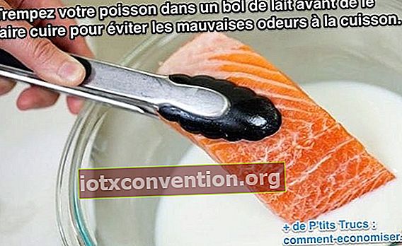 Doppa din fisk i en skål mjölk innan du lagar den för att undvika dålig lukt när du lagar mat