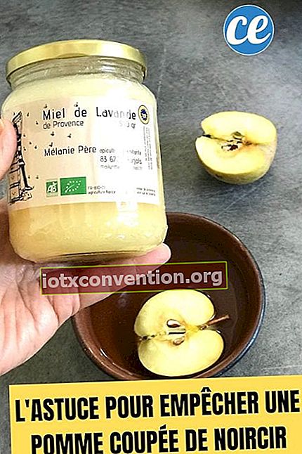 Honig und Wasser, um einen geschnittenen Apfel zu konservieren und zu verhindern, dass er schwarz wird