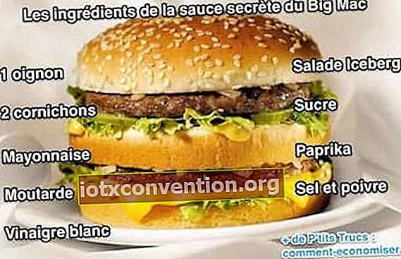 Gli ingredienti della salsa Big Mac di Mac Do